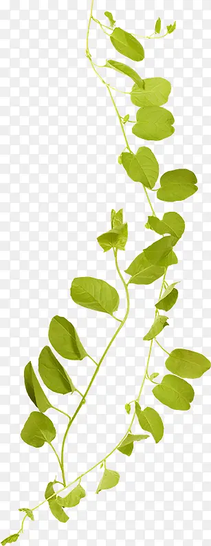 ����-������