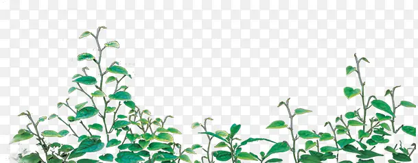 ����-������