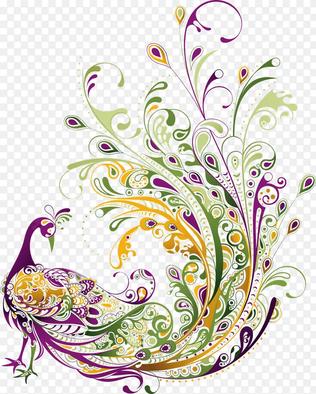 ��ɫ��ȸ����-������