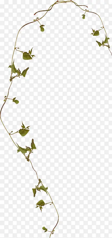 ����-������