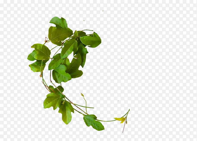 ����-������