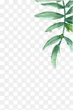 �̲�-������