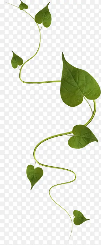 ����-������