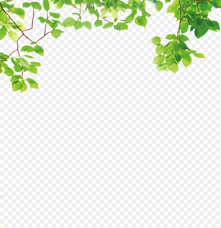 ����������֦װ��-������