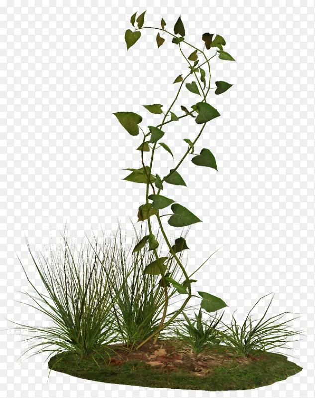 �̲�������Ҷ-������