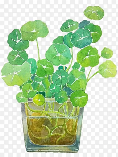 ˮ������-������