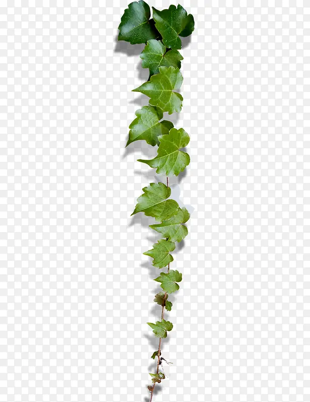 ����png�ز�-������