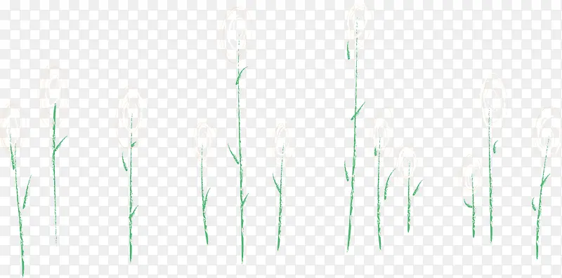 ��ɫֲ�ﴺ�����������-������