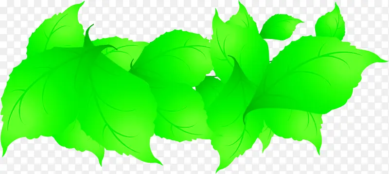 �ֻ洺��������Ҷ-������