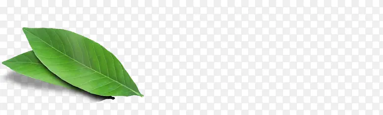 �ֻ洺�����������Ҷ-������