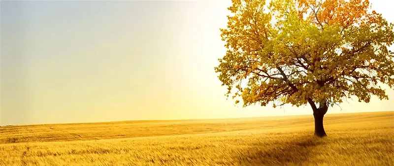 Ϧ��ůɫ��������-������