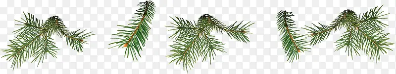 ��ɫ��֦�Ա�����-������