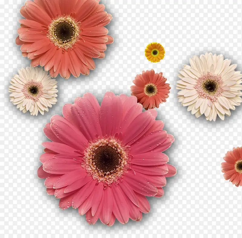 ���ջ����Ա���������-������