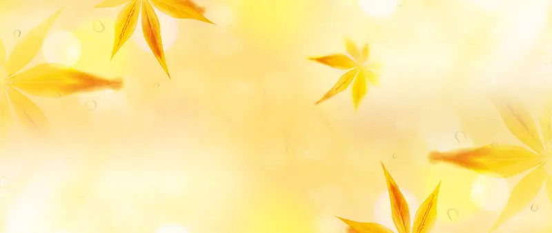 �＾����-������