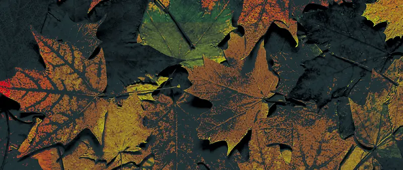 �Ա��＾��װ��������-������