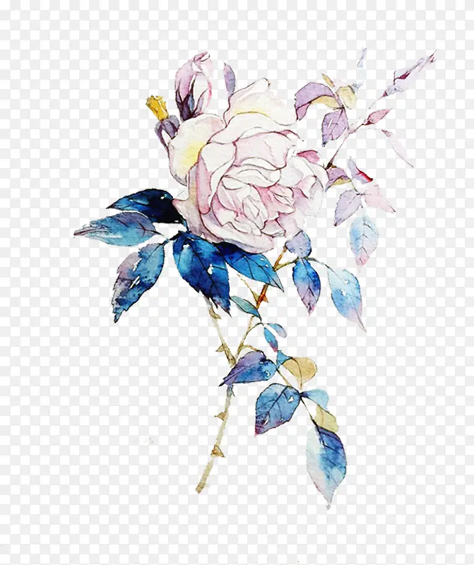 Ψ�����·�ɫõ�尮��-������