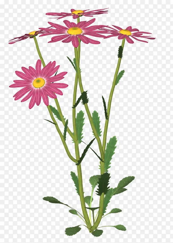 ��ɫʱ��С��Ψ��-������