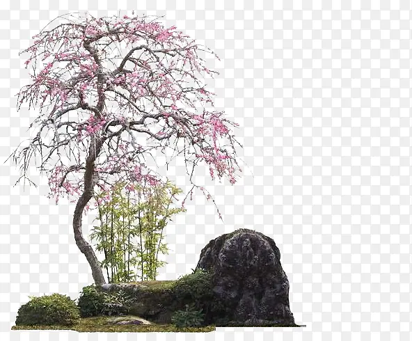 ��ɫΨ����԰����-������