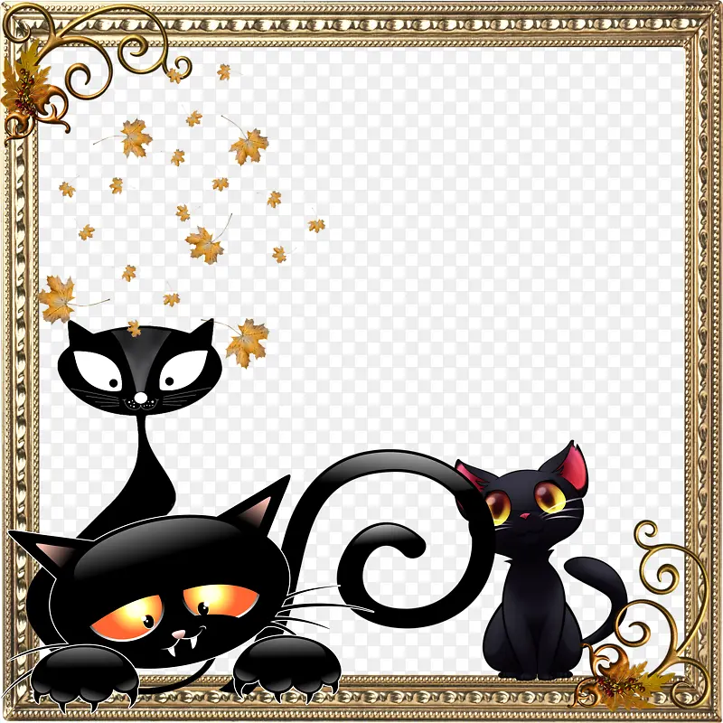 ��ͨè����ͼ���߿�-������