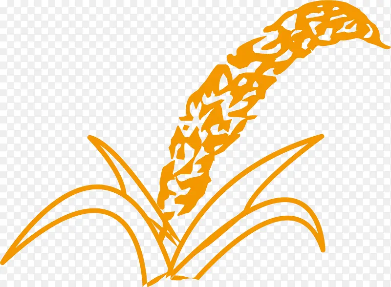 ֲ���ֻ��������-������