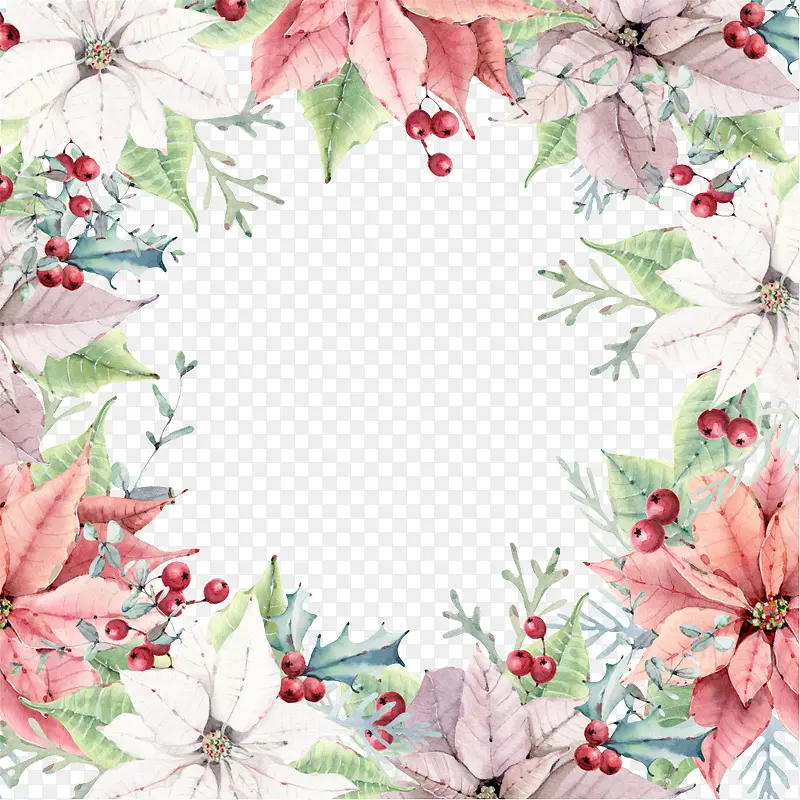 �ֻ�ֲ��-������