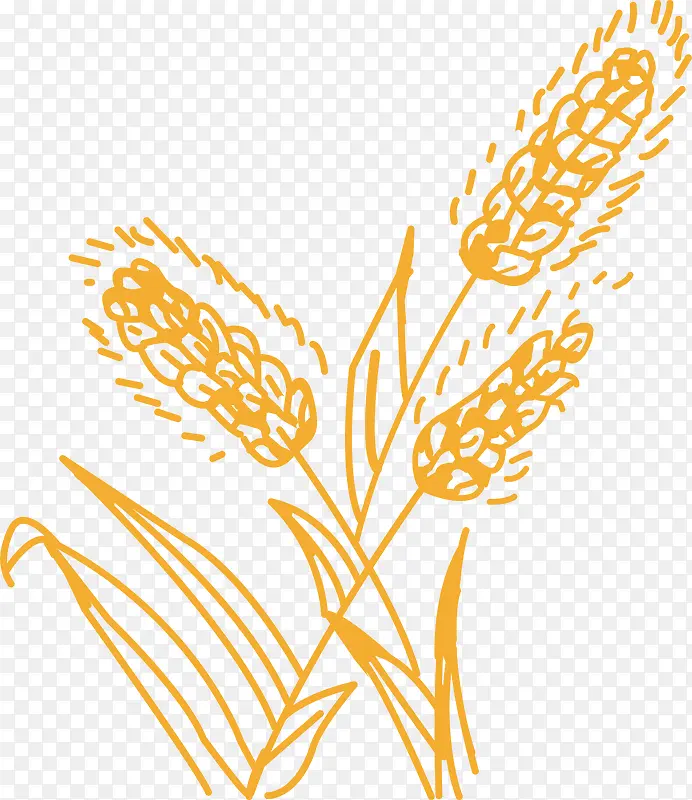 ֲ���ֻ��������-������