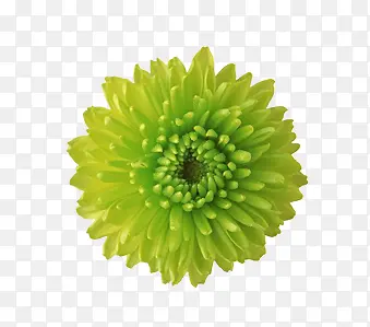 �ʻ��߿��ز��ʻ�����-������