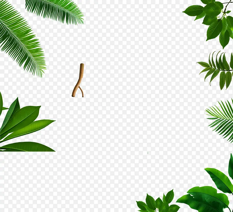 ��ͨ��Ҷ�߿�-������