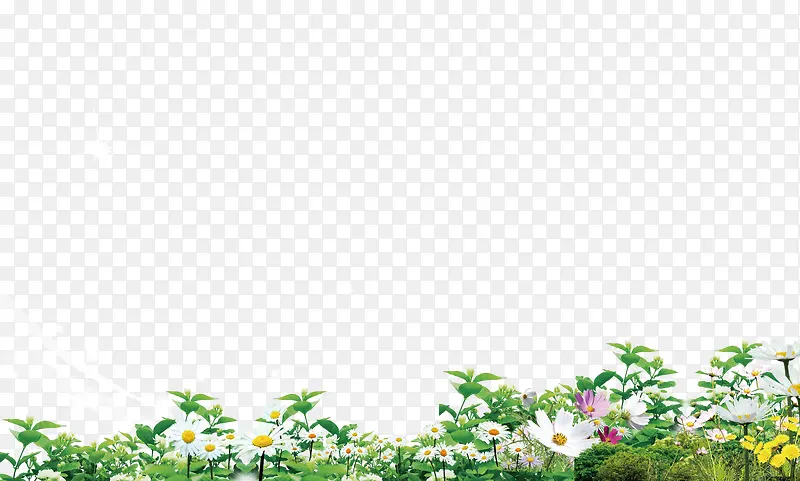 С�� С��-������