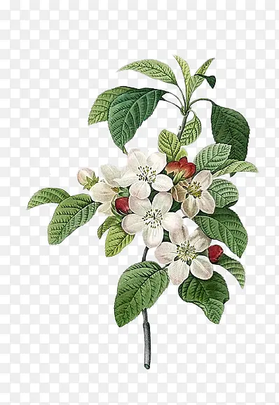 ˮ�ʰ�ɫС��-������