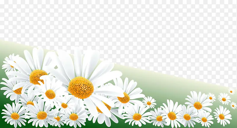 ��ɫ�ջ�-������