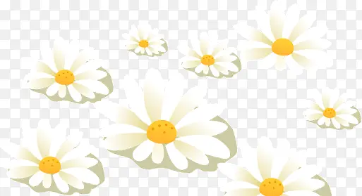 ��ɫС��-������