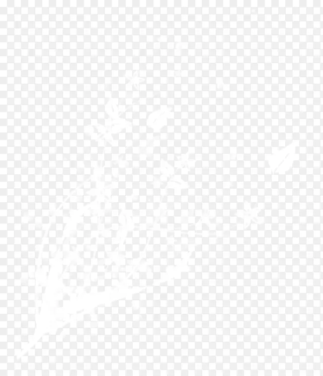 ��ɫװ�λ���-������