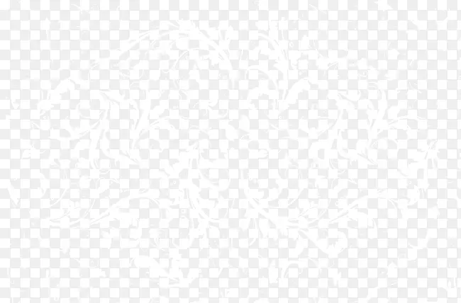 ��ɫ���ƻ���-������