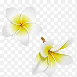 ��ɫ�Ļ�-������