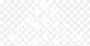 ŷʽ���ƻ����ز�-������