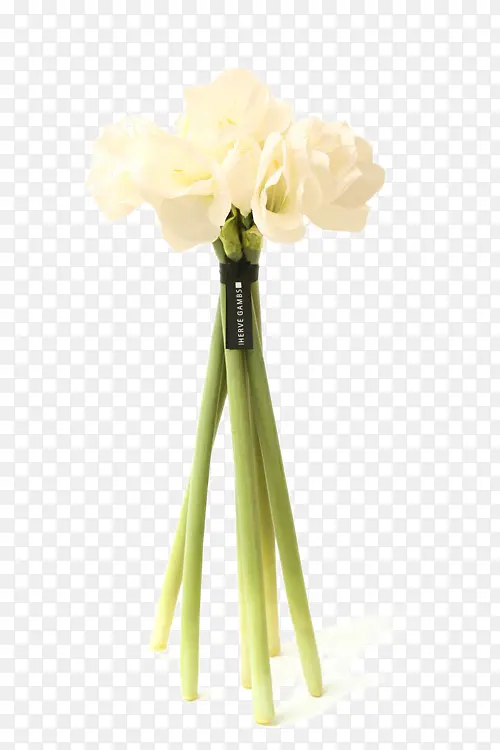 ��ֻ�̾���ɫ������װ-������