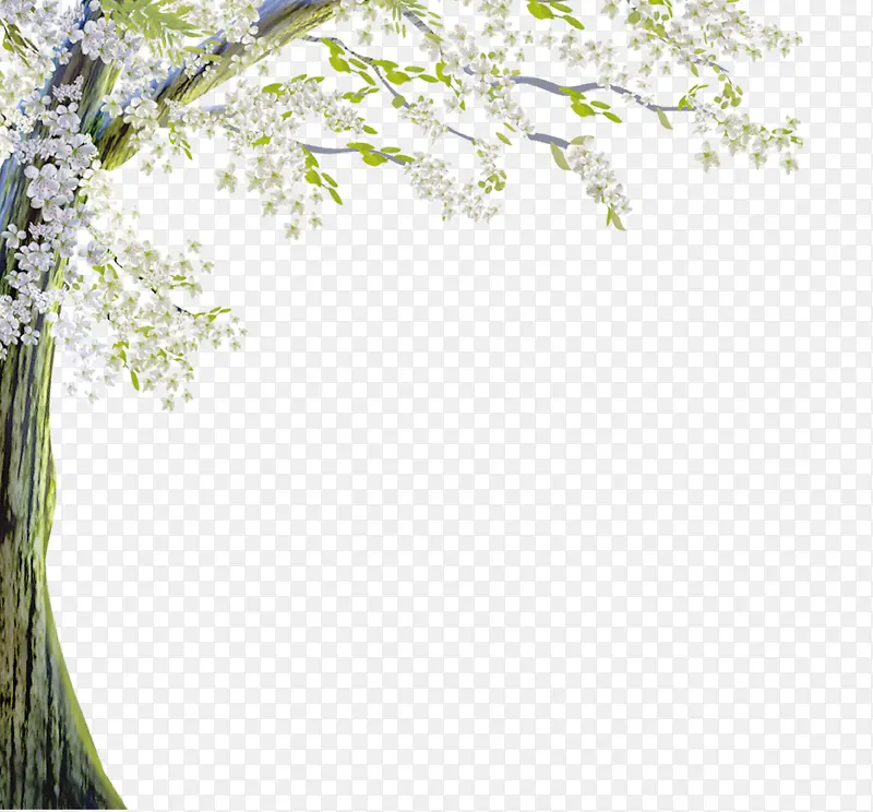 ��ɫ����-������