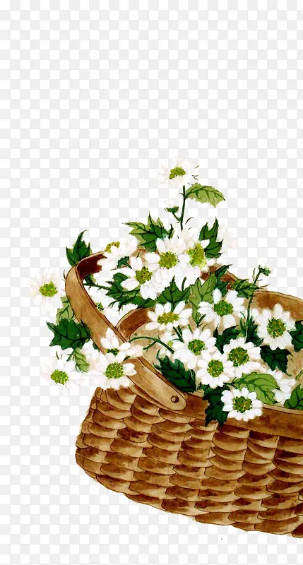 ��ɫ�ջ�-������