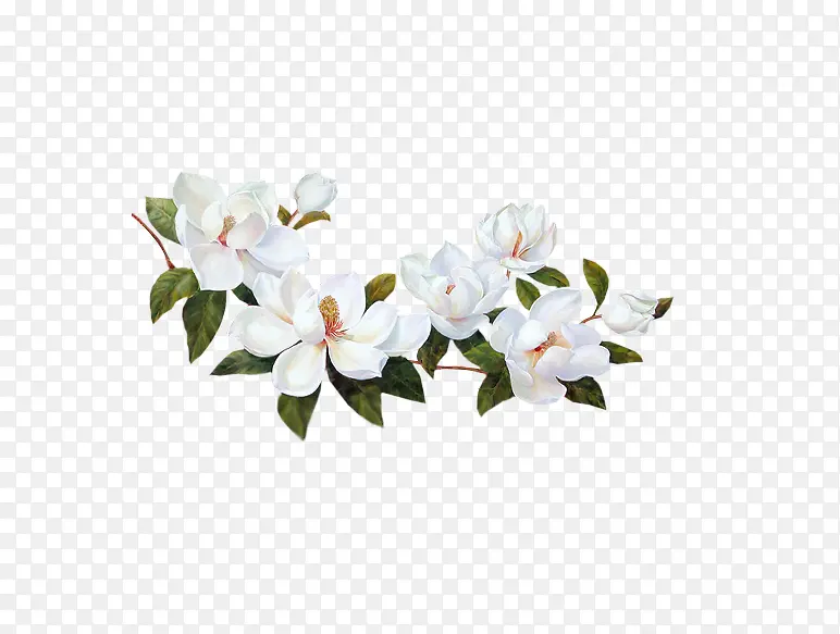 ��ɫ���ӻ�-������