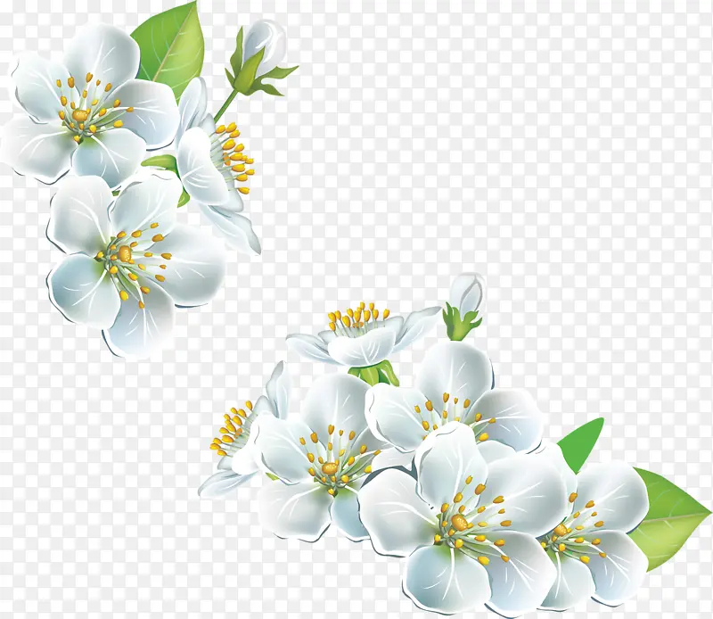 ��ɫ���ӻ�-������