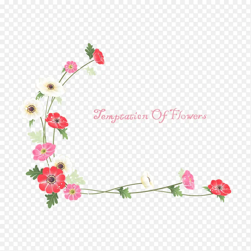 ��ɫС��-������