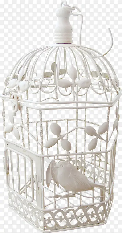 ��ɫ������-������