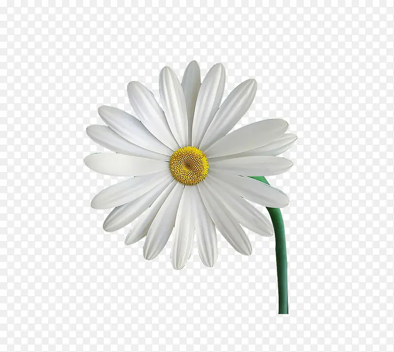 ��ɫ����-������