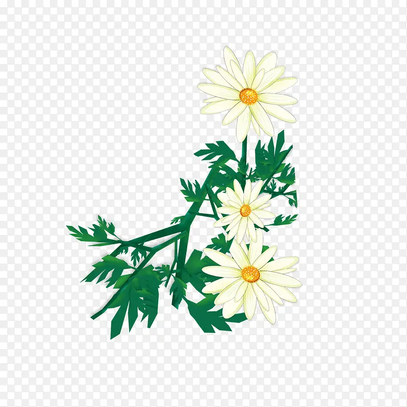 ��ɫС��-������