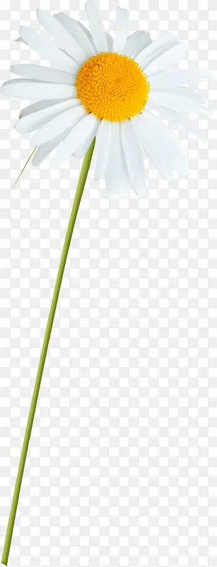 ��ɫ����-������