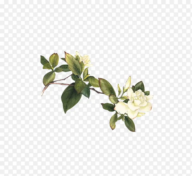 ��ɫ��-������