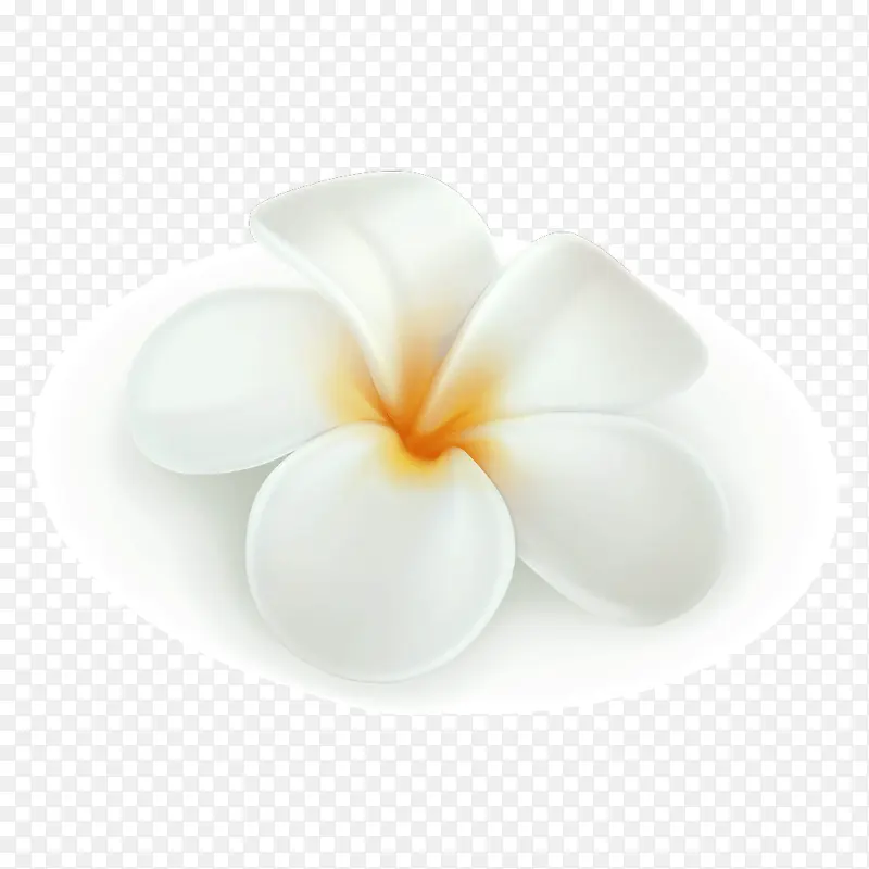 ��ɫ����-������