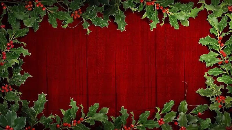 ʥ���ز�-������