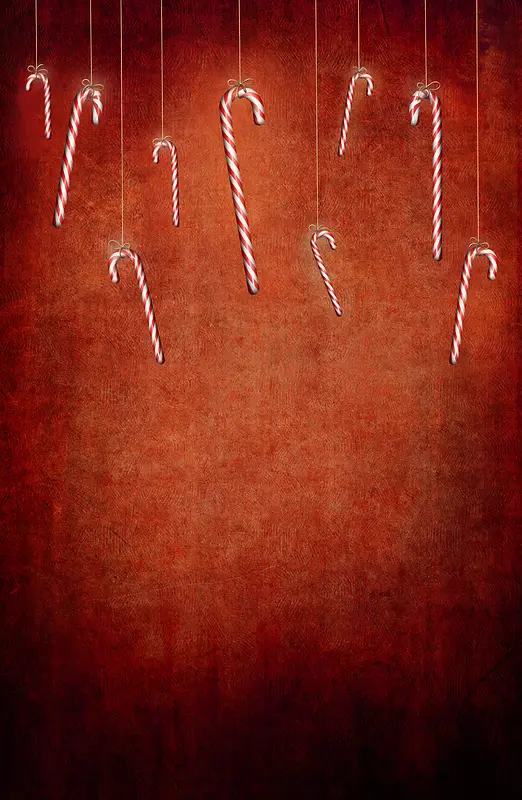 ϲ��ʥ������-������